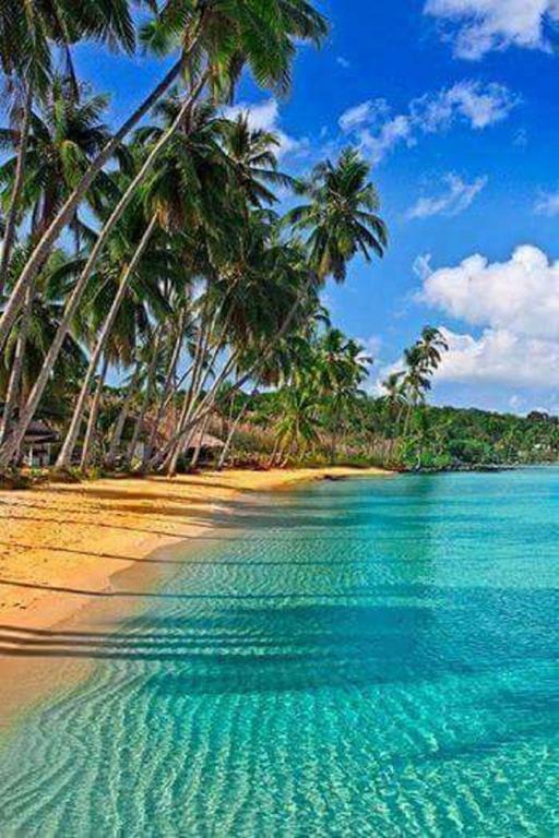 Turquoise Caritan Apartment Sainte-Anne Luaran gambar